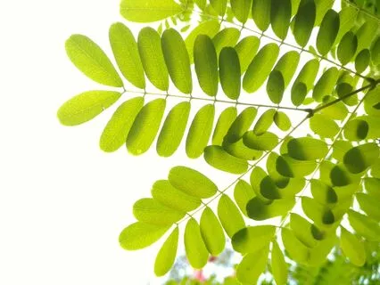 Serenity Sleep Meditation For Anxiety