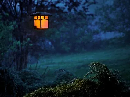 Serenity Sleep: Music To Melt Stress Away