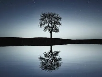 Serenity Slumber: Calming Sleep Practices