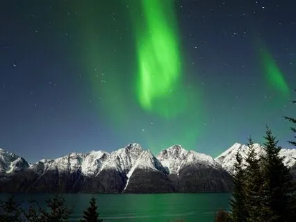 Serenity Sounds: Feel Calm Instantly