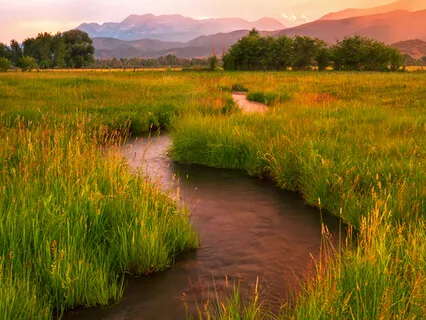 Serenity Stream - Soothing Magical Music & Flowing Water