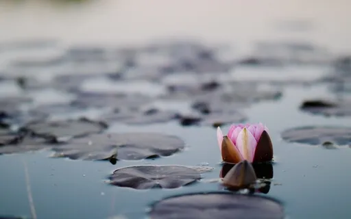 Serenity Water Meditation