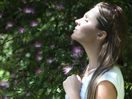 Serenity Waves 528Hz Chilled Meditation