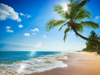 Serenity Wellness Podcast E33: Impermanence Meditation