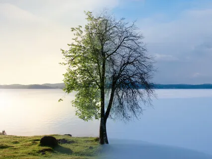 Serenity Wellness Podcast E35: Resistance To Acceptance