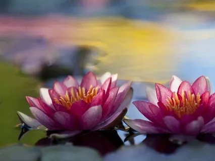 Serenity Wellness Podcast E43: Be Still