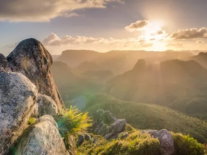 Serenity Wellness Podcast E54: Silent Observer