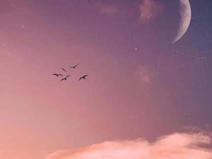 Serenity Wins The Day