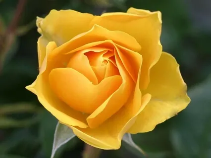 Redefining Love For True Connection: Eros Part II