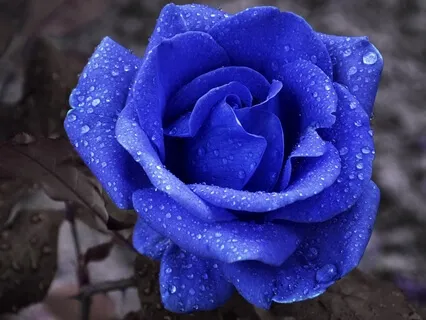 Redefining Love For True Connection: Philia