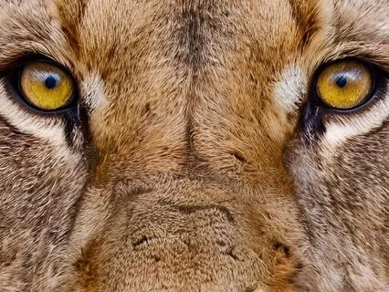 Seriousness: Practice Morsels