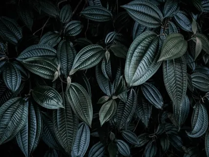 Deep Sleep - Serotonin, Dopamine & Endorphin Release