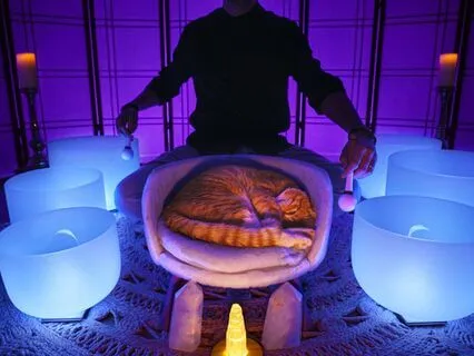 Serotonin Release Sound Bath