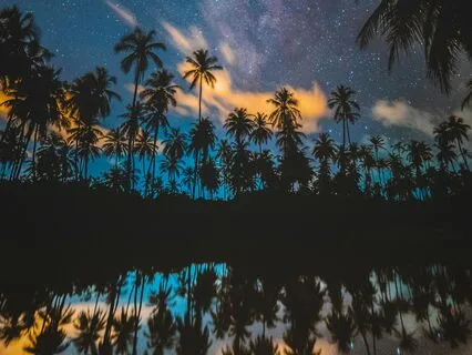 Serpents And Stars Meditation