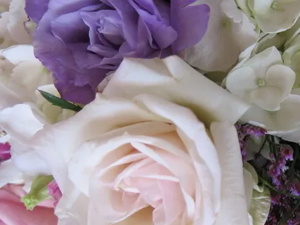 セルフ・コンパッションを使ったひと休み (Self-Compassion Break)