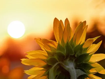 Righteously Serving Open Heart (Short)