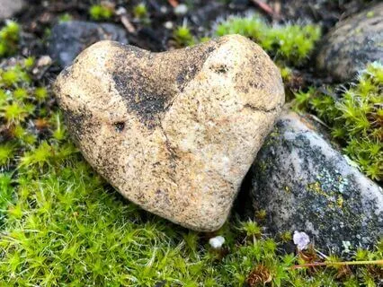 Serving Self And Serving Others