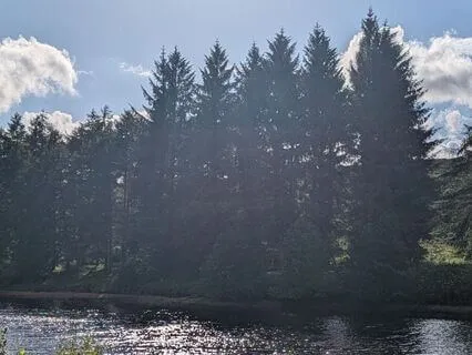 Serving Yourself First