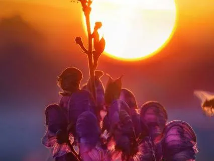 Session 1: Connecting To The Soul Of Your Business