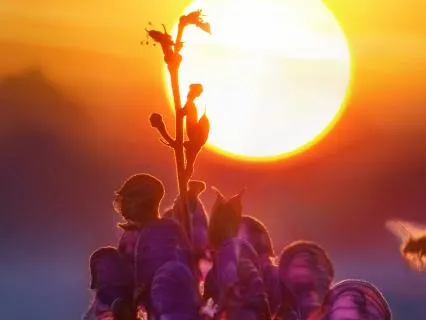 Session 2: Deepening Your Connection With Your Business