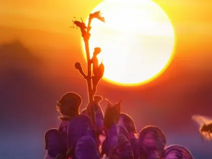 Session 3: Creating An Offer In Your Business