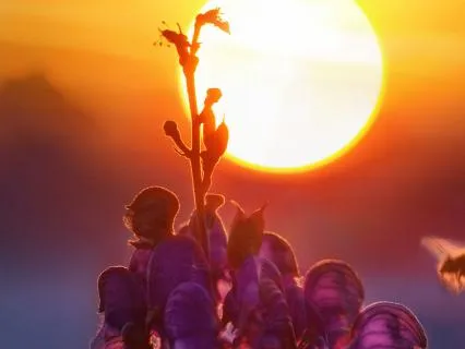 Session 5: Asking For Practical Guidance