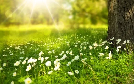 Set A Powerful And Impactful Day’s Intention