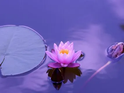 Set And Cultivate Intention For The Week