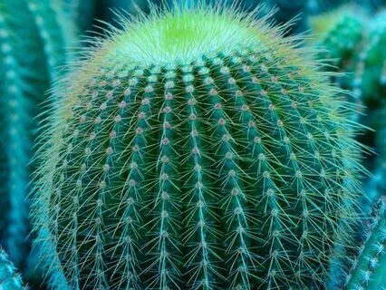 Set Boundaries With Grace In 3 Mins