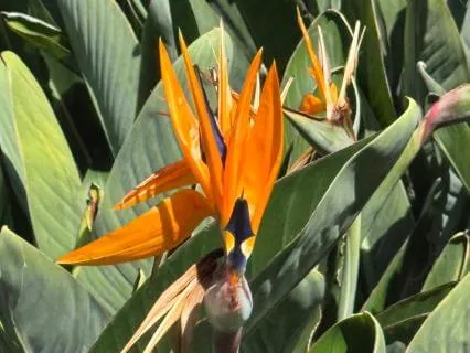 Set Intention To Stay Positive Each Day