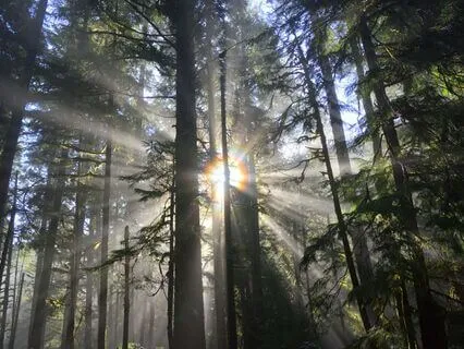 Set Intentions For New Beginnings - Welcome Change