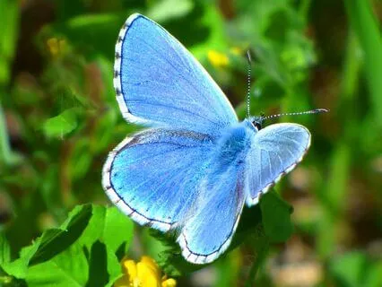 Set You Free | Song Medley