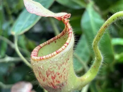 Set Your Day’s Intention With Love & Purpose