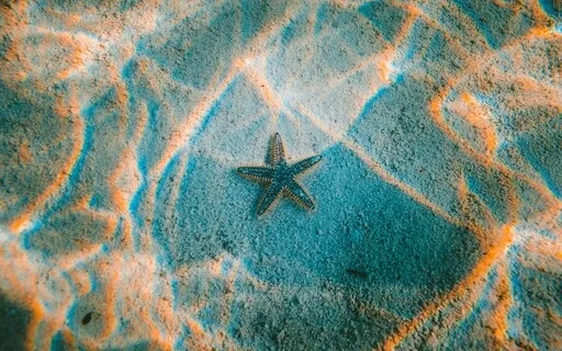 Set Your Intention For Focused Time