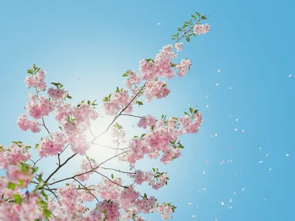 Set Your Intentions For The Year Ahead