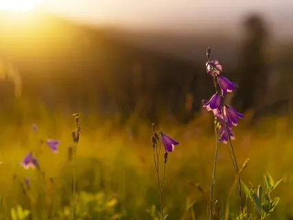 Set Yourself Up For The Day Ahead - Morning Meditation