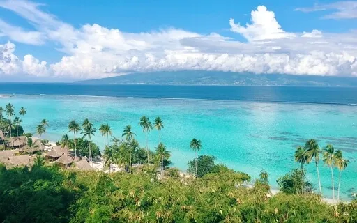 Sete Afirmações para o Dia