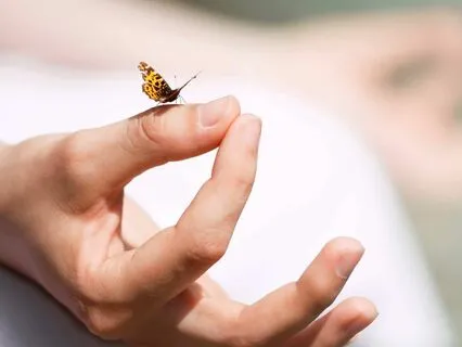 Setting An Energetic Intention