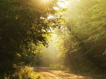 Setting An Intention: Becoming Who You Aspire To Be