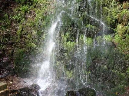 Setting An Intention For Healing (With Music)