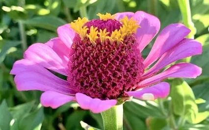 Setting An Intention For The Day