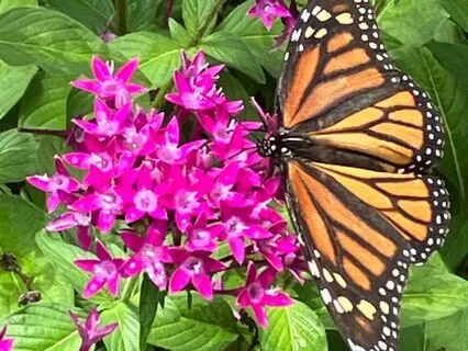 Setting An Intention: Leading With The Body