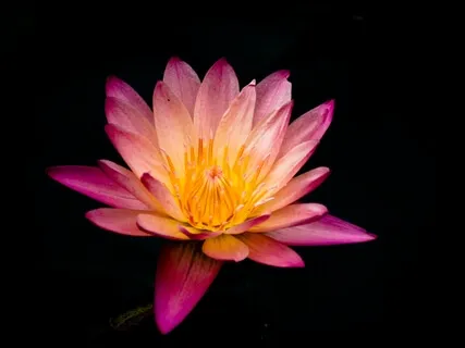 Setting An Intention To Fast