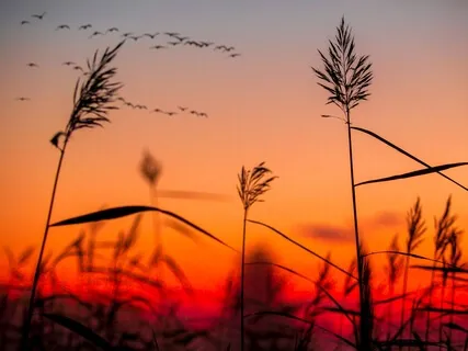  Setting & Achieving Daily Intentions