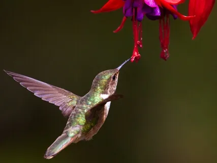 Setting Boundaries For Personal Wellbeing