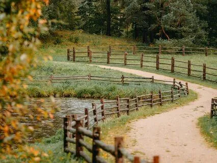 Setting Boundaries Meditation For Yourself And Others