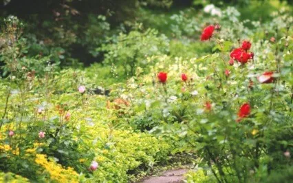 Setting Boundaries With Your Inner Land