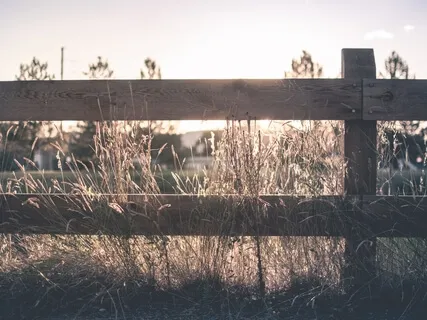 Setting Healthy Boundaries