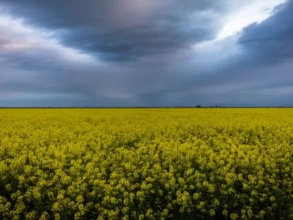 Setting Intention For The New Year