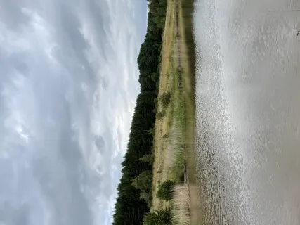 Setting Intention Meditation 